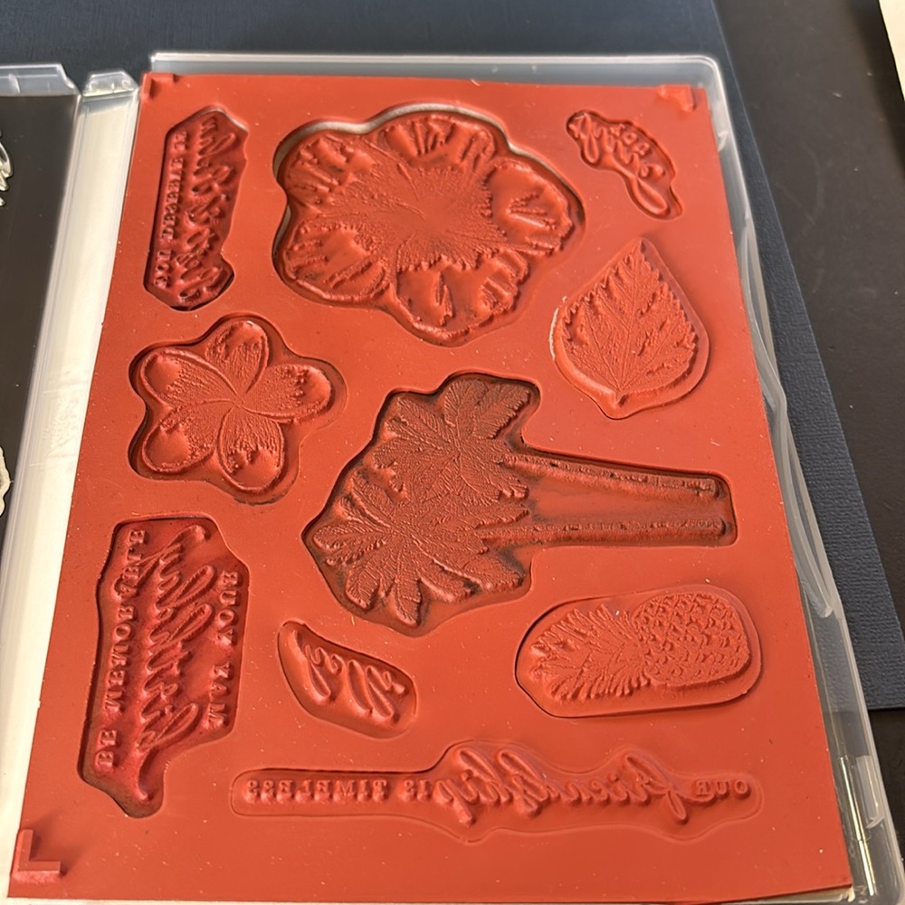 Stampin Up! Timeless Tropical Cling Stamp & Die Set - Picture 5 of 5